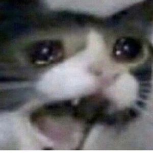 Meet your Posher, Jake